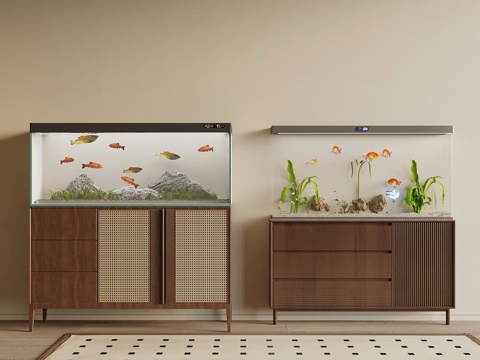 Modern fish tank