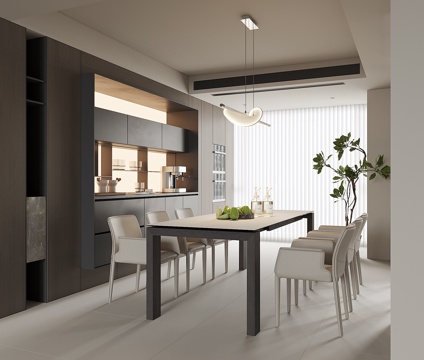 Modern Home DiningRoom