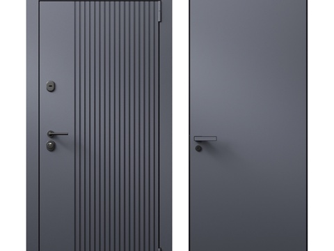 Modern security door entry door