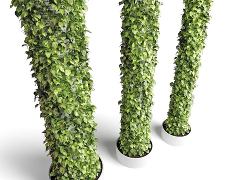 Modern Green Plant Column Plant Column Bamboo Vine Creeper Wall Creeper Vine Hedge