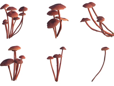 Mushrooms