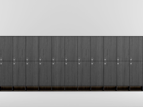 Modern locker locker