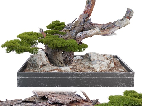 Bonsai landscape