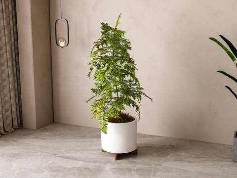 Modern Green Plant Potted Plant