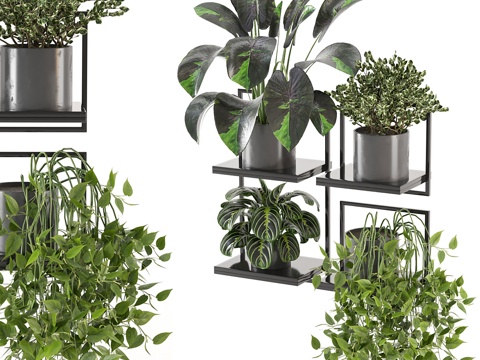 Plant potted rack