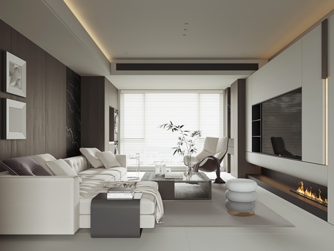 Modern Home Living Room