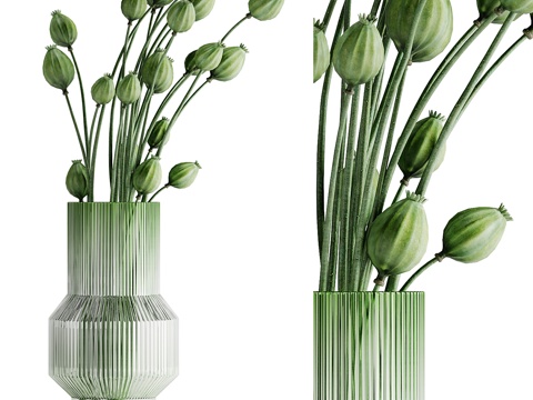 Green plant hydroponic vase flowers