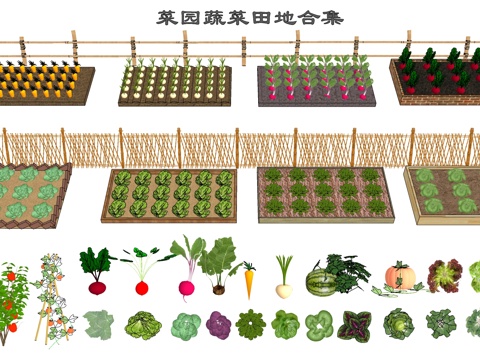 Modern vegetable garden vegetable field vegetable farm planting pool planting rack