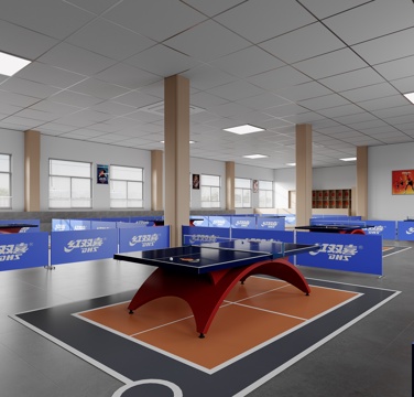 Modern Table Tennis Room