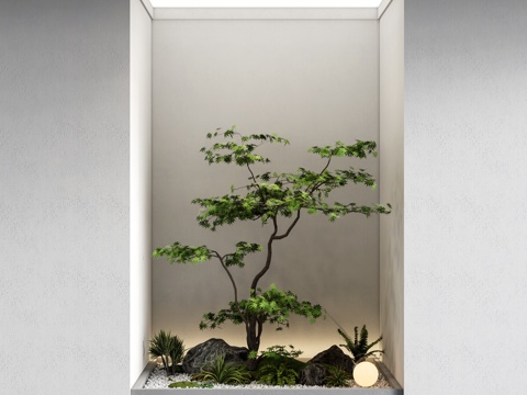 Modern interior landscape landscape landscape sketch maple landscape tree pile