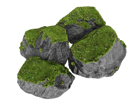 Moss landscape stone