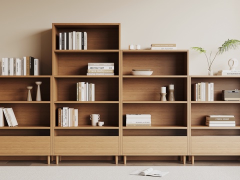 Modern bookcase