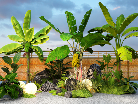 Modern micro-terrain moss courtyard sketch landscape stone plantain banana landscape landscaping