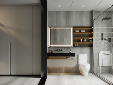 Modern Affordable Luxury Style Toilet