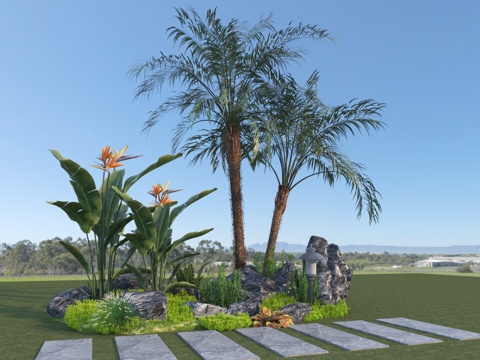 Modern Garden Landscape Tropical Plants