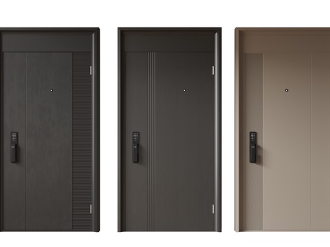 Modern Minimalist Entry Door Middle Ancient Anti-theft Door Top Single Door Sub-mother Door Password Door