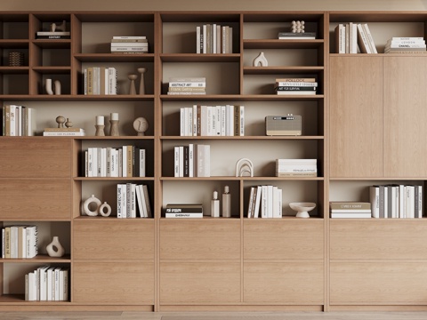 Modern bookcase