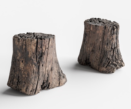 Stump Stakes Broken Wooden Stool