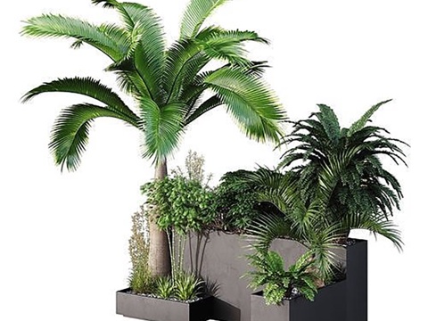 Modern Plant Green Plant Flower Box Indoor Plant