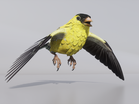 Golden finch bird