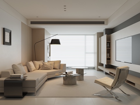 Modern Home Living Room