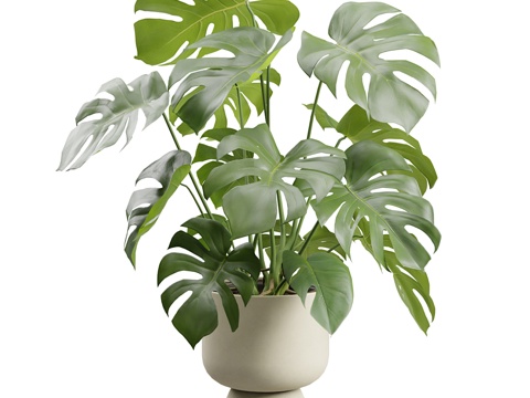 Modern Cream Style Green Plant Potted Plant