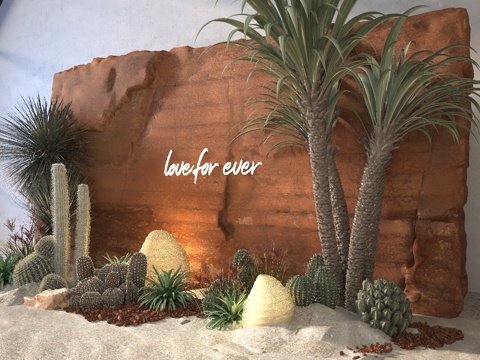 Desert Style Landscape Wall Weathered Natural Stone Tropical Plant Group Cactus Palm Tree