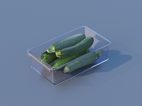 Cucumber Lunch Box Lunch Box Lunch Box