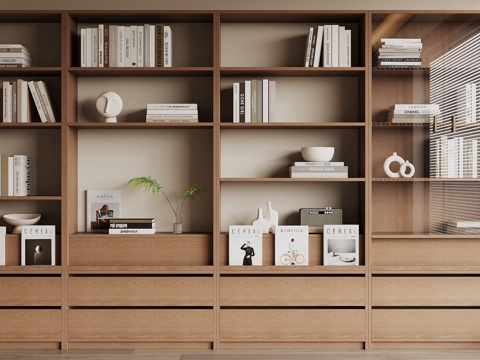 Modern bookcase