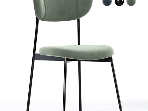 Modern Petal Dining Chair