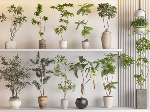 Modern Pot Plant Combination