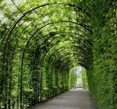 Modern Flower Rack Corridor Grape Rack