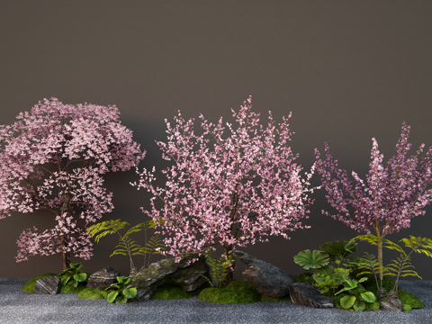 Modern Landscape Tree Cherry Blossom Tree Cherry Tree Peach Blossom Tree Plum Garden Tree