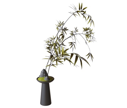 Modern plant ornaments