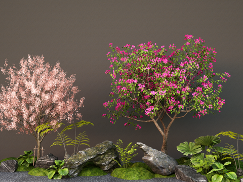 Modern Landscape Tree Cherry Tree Peach Blossom Tree Plum Garden Tree