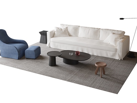 Modern sofa coffee table combination