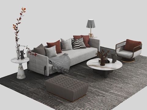 Modern sofa coffee table combination