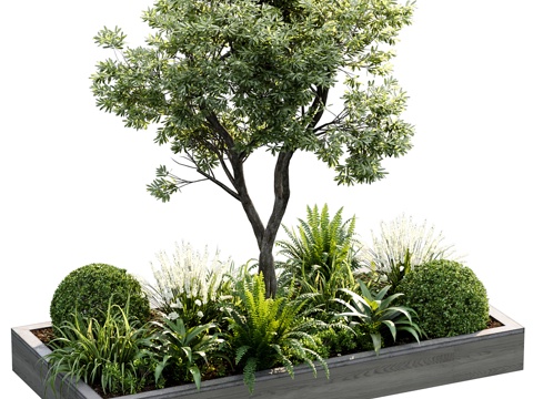 Modern Garden Landscape greenery