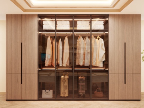 Wardrobe Design Wardrobe Effect Diagram Wardrobe Coat Cabinet Design Coat Cabinet