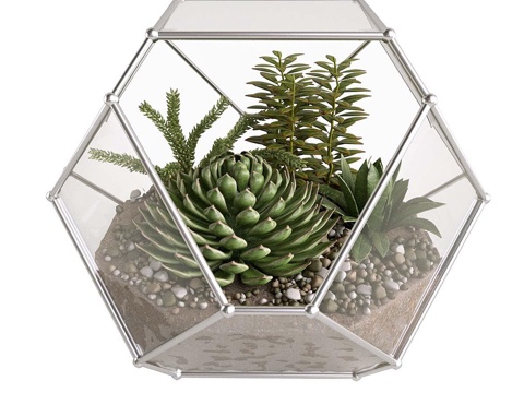 Modern potted plant green plant decorations green plant ornaments potted bonsai cactus plant ornaments