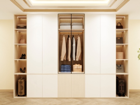 Wardrobe Design Wardrobe Effect Diagram Wardrobe Coat Cabinet Design Coat Cabinet