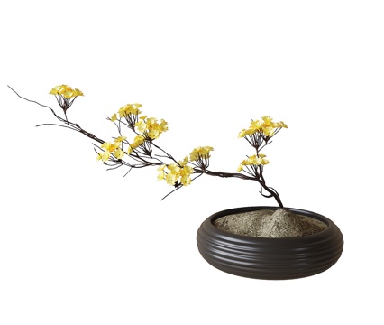 Modern Bonsai Bonsai Plant Ornaments