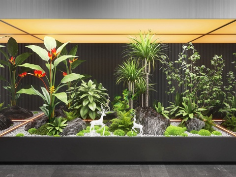 Modern Landscape Landscaping Bryophytes Indoor Landscape