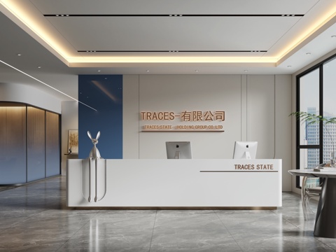 Modern Company Front Desk