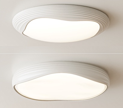 Modern ceiling lamp Decorative Light