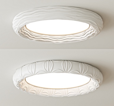 Modern ceiling lamp Decorative Light