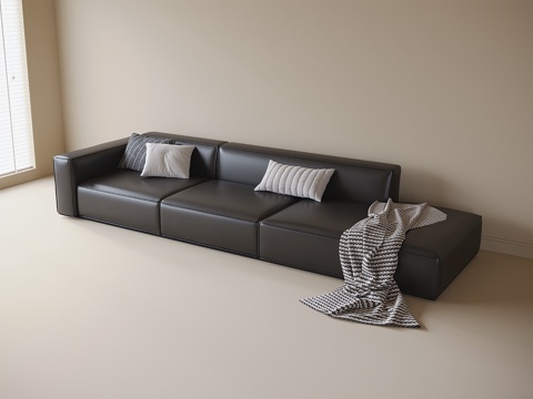 Modern Couch leather sofa