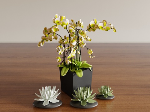 vase floral flower flower arrangement green plant bonsai plant indoor green plant ornaments