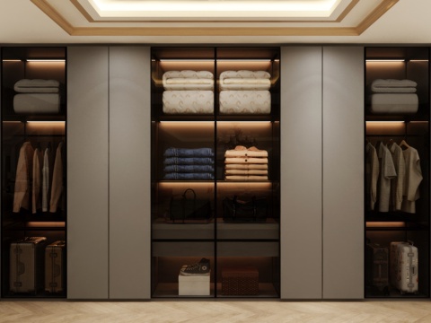 Wardrobe Design Wardrobe Effect Diagram Wardrobe Coat Cabinet Design Coat Cabinet