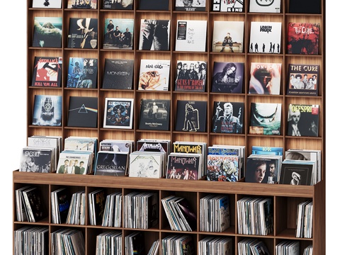 Modern vinyl record rack